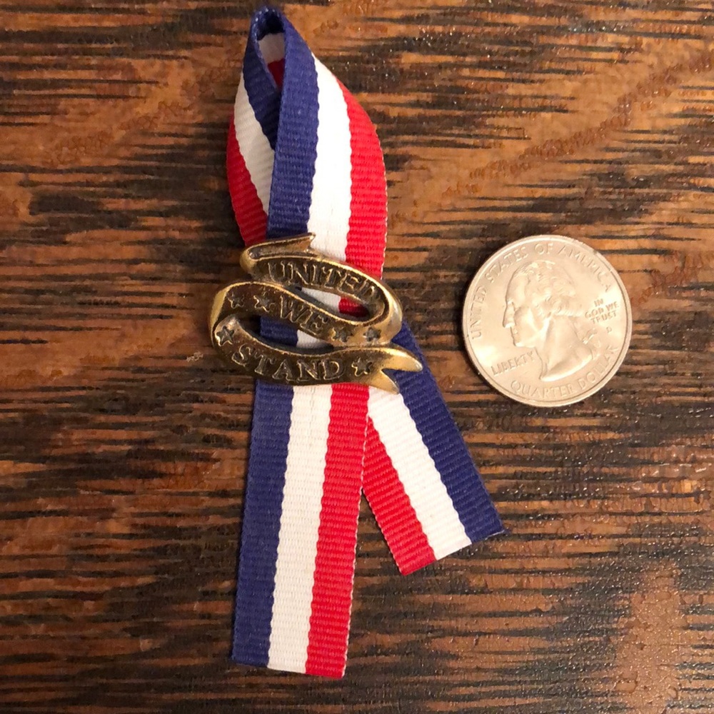 Vintage USA pin